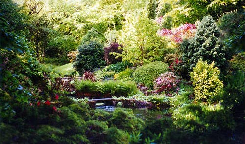 forest-garden-lrg